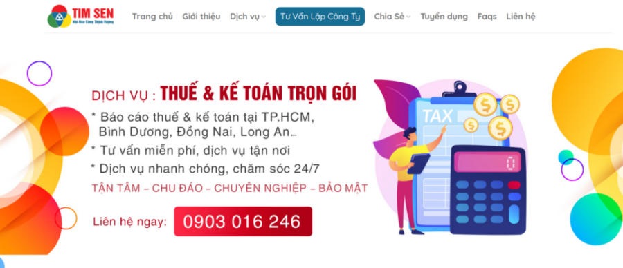 Giới thiệu dịch vụ Báo cáo Thuế của TimSen.vn