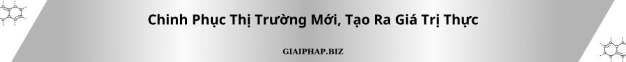 Chinh Phục Thị Trường Mới, Tạo Ra Giá Trị Thực Cùng GIAIPHAPBIZ