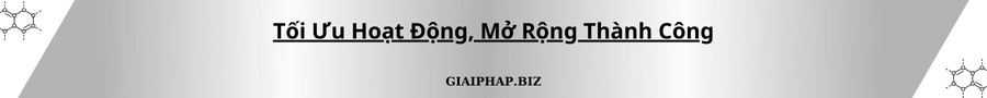 Tối Ưu Hoạt Động, Mở Rộng Thành Công Cùng GIAIPHAPBIZ
