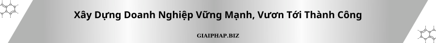 Xây Dựng Doanh Nghiệp Vững Mạnh, Vươn Tới Thành Công Cùng GIAIPHAPBIZ
