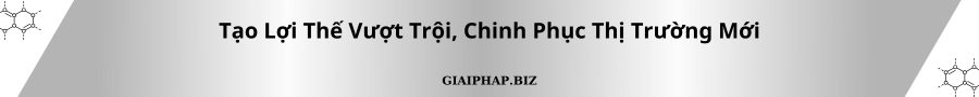 Tạo Lợi Thế Vượt Trội, Chinh Phục Thị Trường Mới Cùng GIAIPHAPBIZ