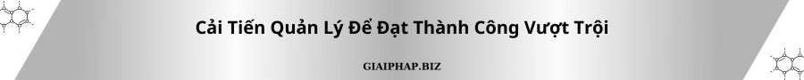 Cải tiến quản lý để đạt thành công vượt trội cùng GIAIPHAPBIZ