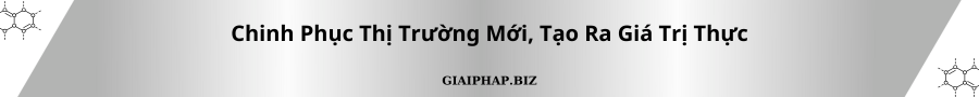 Chinh Phục Thị Trường Mới, Tạo Ra Giá Trị Thực Cùng GIAIPHAPBIZ