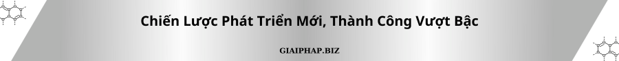 Chiến Lược Phát Triển Mới, Thành Công Vượt Bậc Cùng GIAIPHAPBIZ