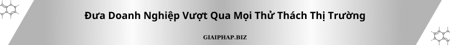 Đưa Doanh Nghiệp Vượt Qua Mọi Thử Thách Thị Trường Cùng GIAIPHAPBIZ