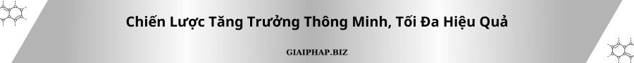 Chiến Lược Tăng Trưởng Thông Minh, Tối Đa Hiệu Quả Cùng GIAIPHAPBIZ