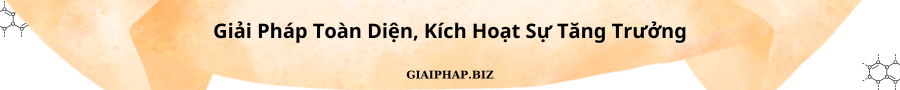 Giải Pháp Toàn Diện, Kích Hoạt Sự Tăng Trưởng Cùng GIAIPHAPBIZ